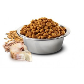 Ξηρά Τροφή Σκύλου (0)