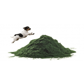 Υπερτροφές για σκύλους (0)