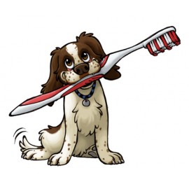 Οδοντιατρική φροντίδα για τα σκυλιά (5)