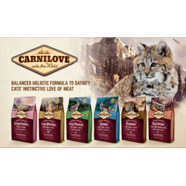 Carnilove Cat Grain Free - Salmon  FOR ADULT CATS WITH SENSITIVE DIGESTION, LONG-HAIRED CATS 6kg