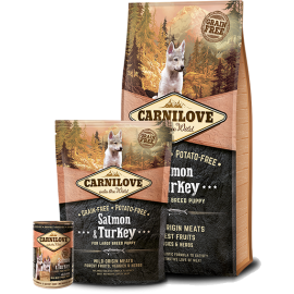 CARNILOVE Salmon & Turkey for large breed puppy  ≥ 25 KG, 3 – 30 MONTHS