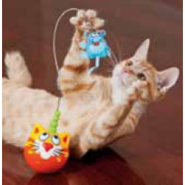 Παιχνίδια γάτας (0)